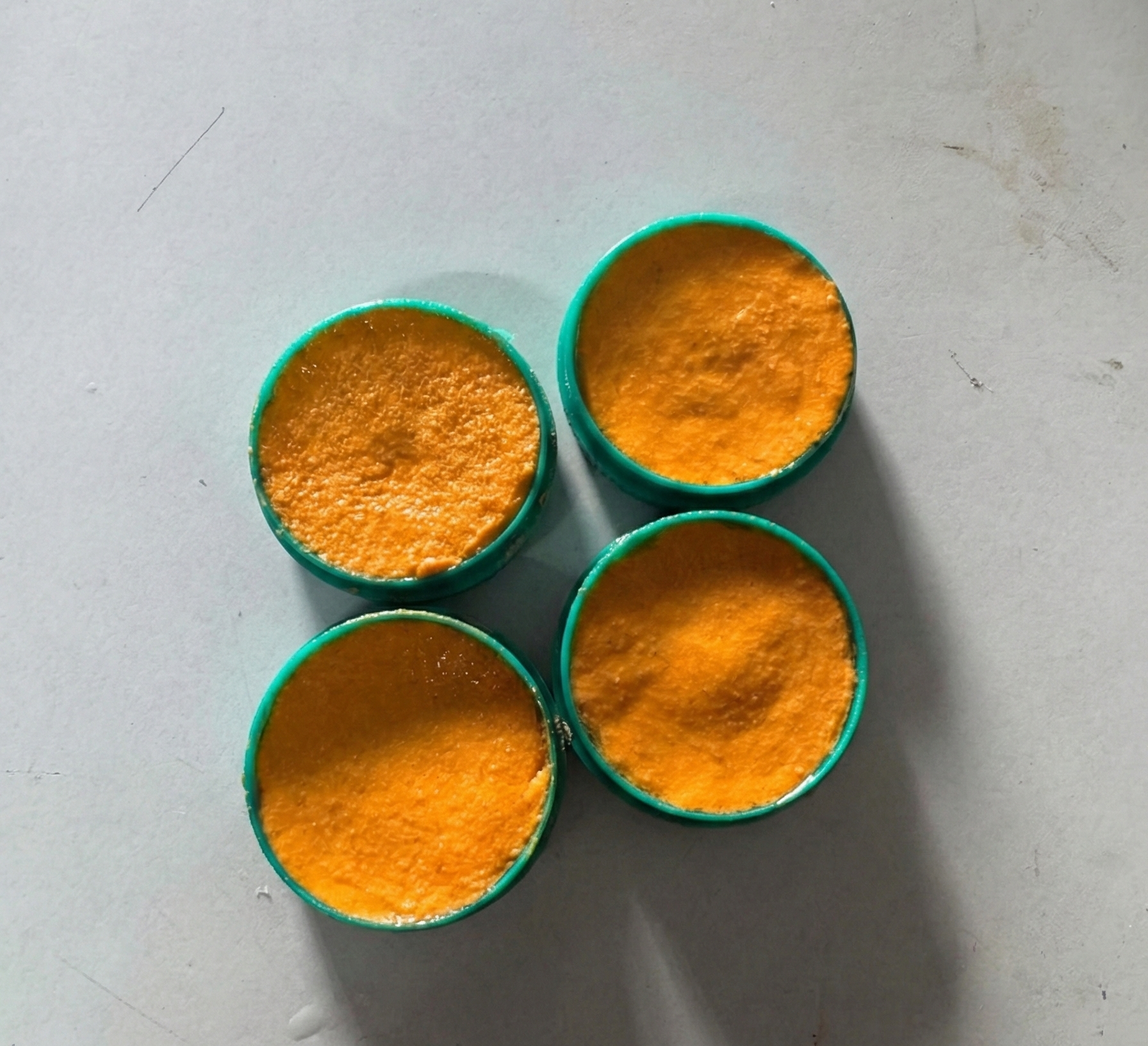 Cockroach Killer Powder Gel (Pack of 24pc)